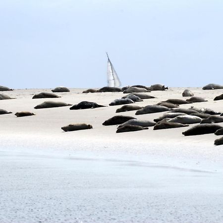 Borkumunterkunft - Woh7 - Im Herzen Der Insel Exterior foto